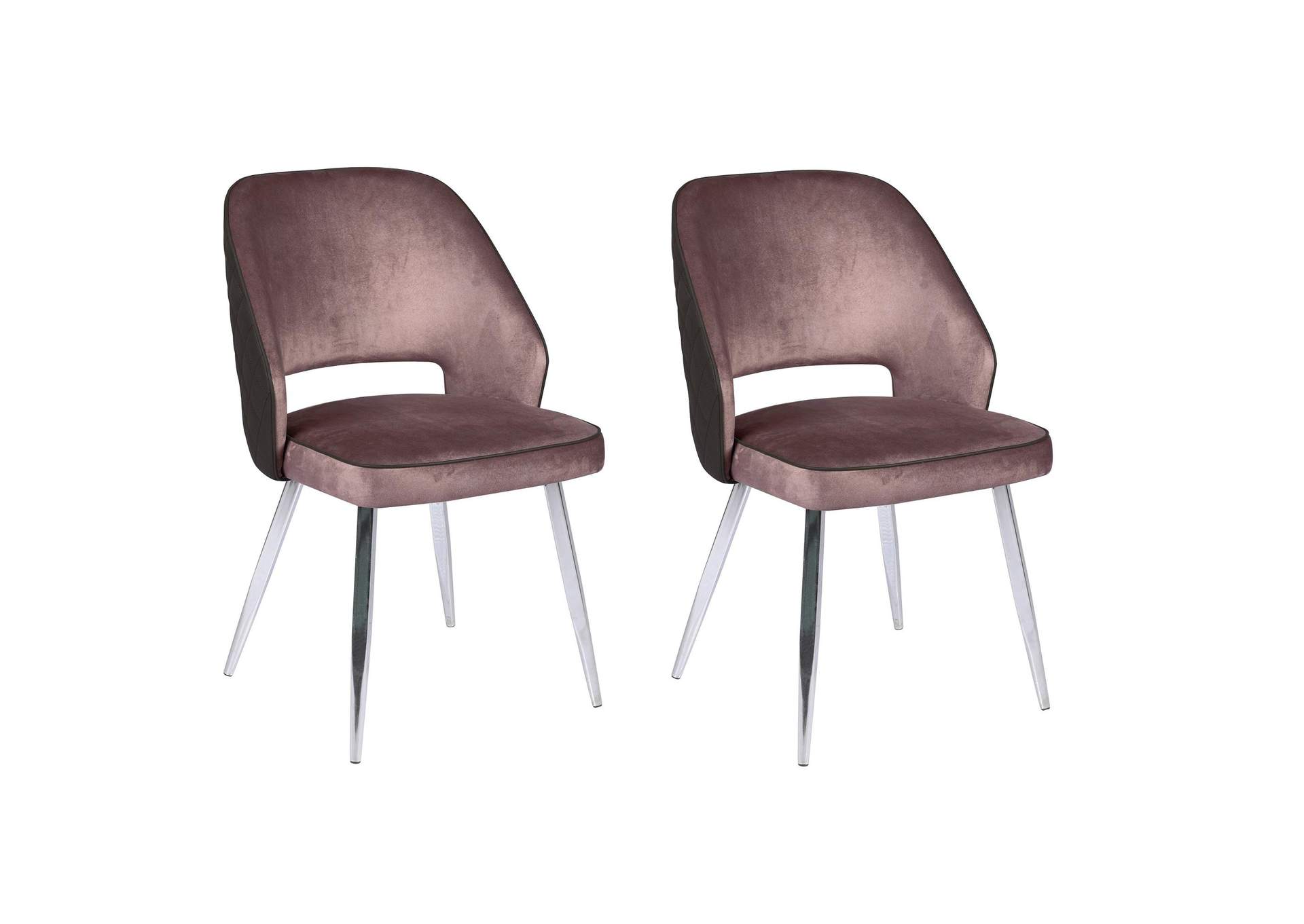 Contemporary 2-Tone Open Back 2-Tone Side Chair (Set of 2),Chintaly Imports