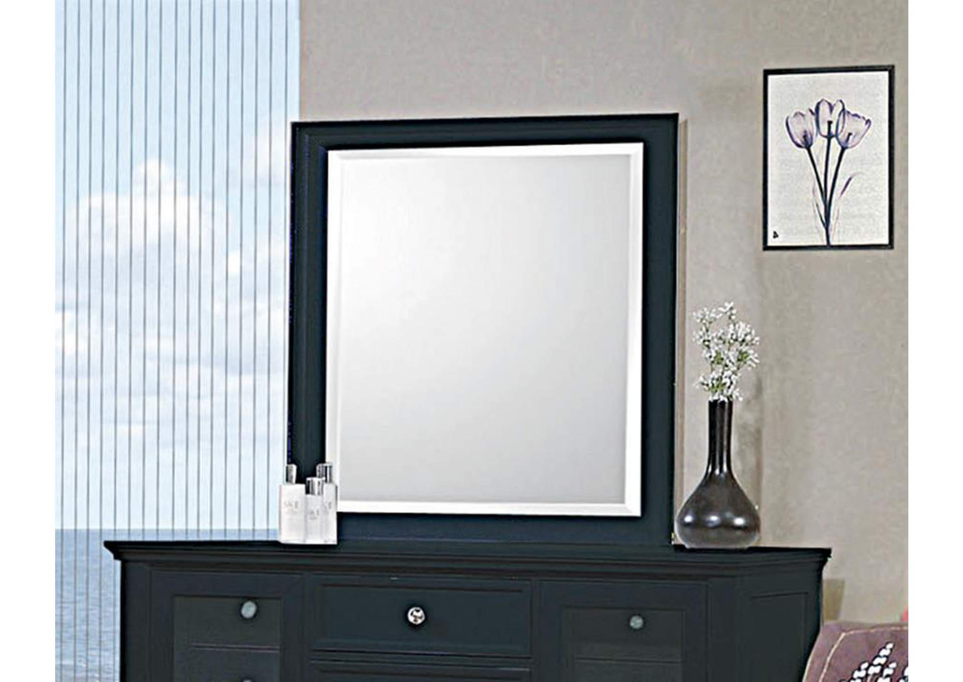 Sandy Beach Vertical Dresser Mirror Black,Coaster Furniture