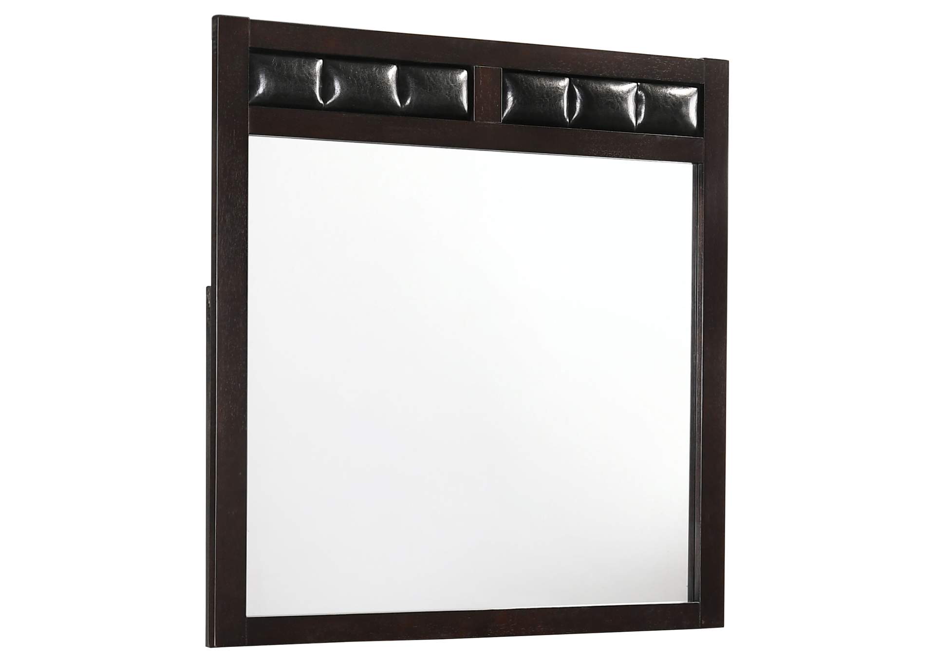 Carlton Upholstered Rectangular Mirror Cappuccino,Coaster Furniture