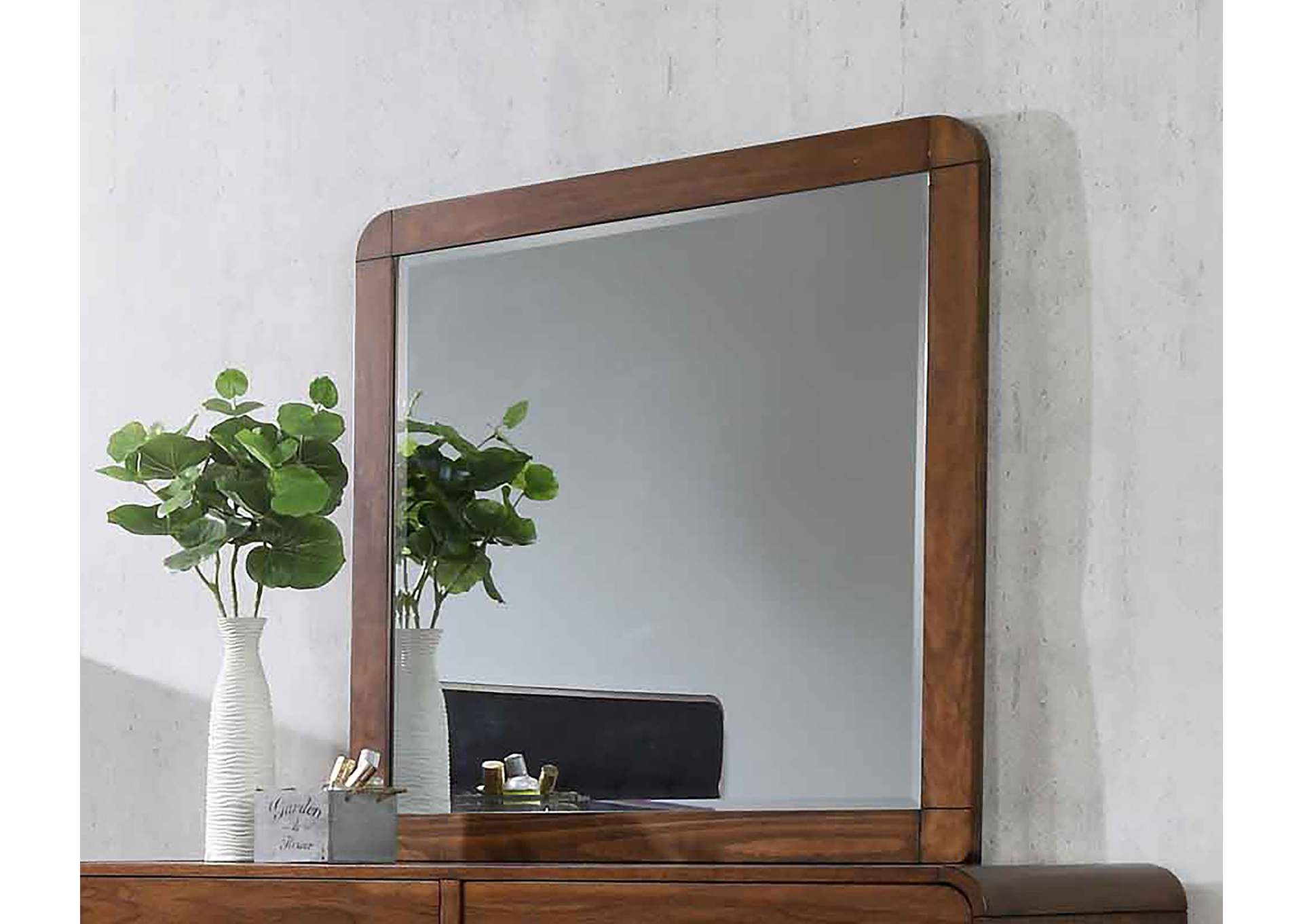 Robyn Rectangular Mirror Dark Walnut,Coaster Furniture