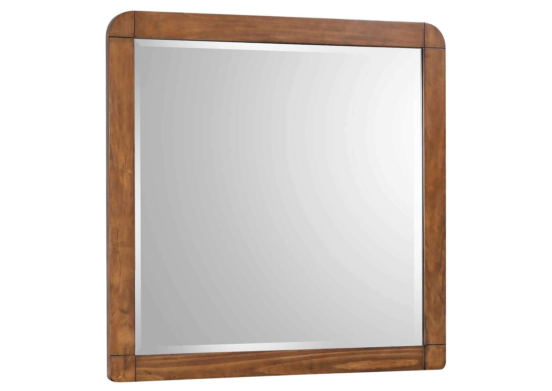 Robyn Rectangular Mirror Dark Walnut,Coaster Furniture