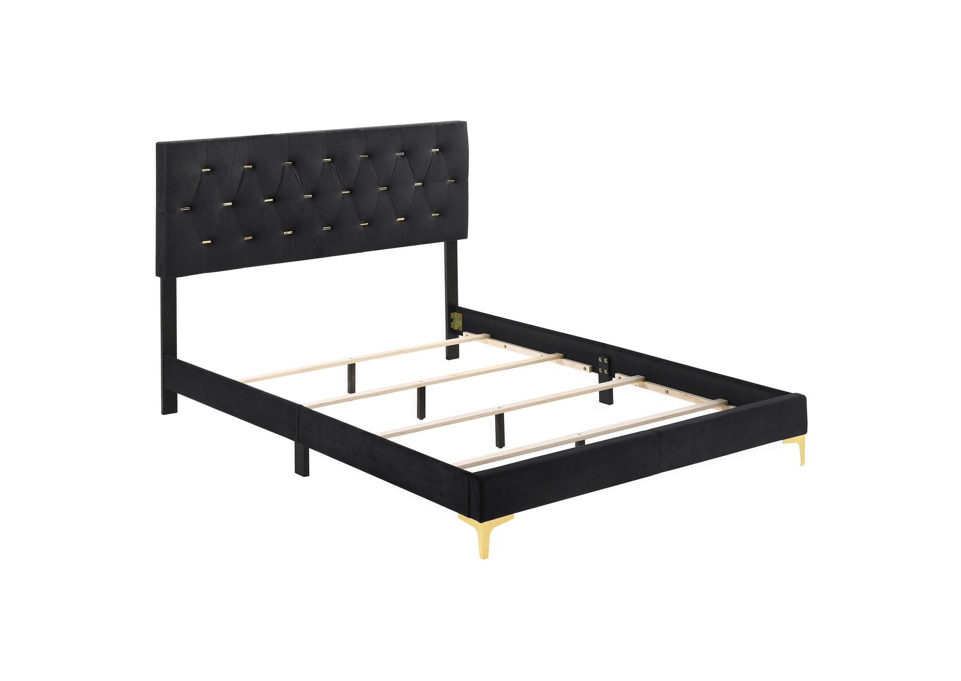 Kendall Tufted Panel Eastern King Bed Black and Gold,Coaster Furniture