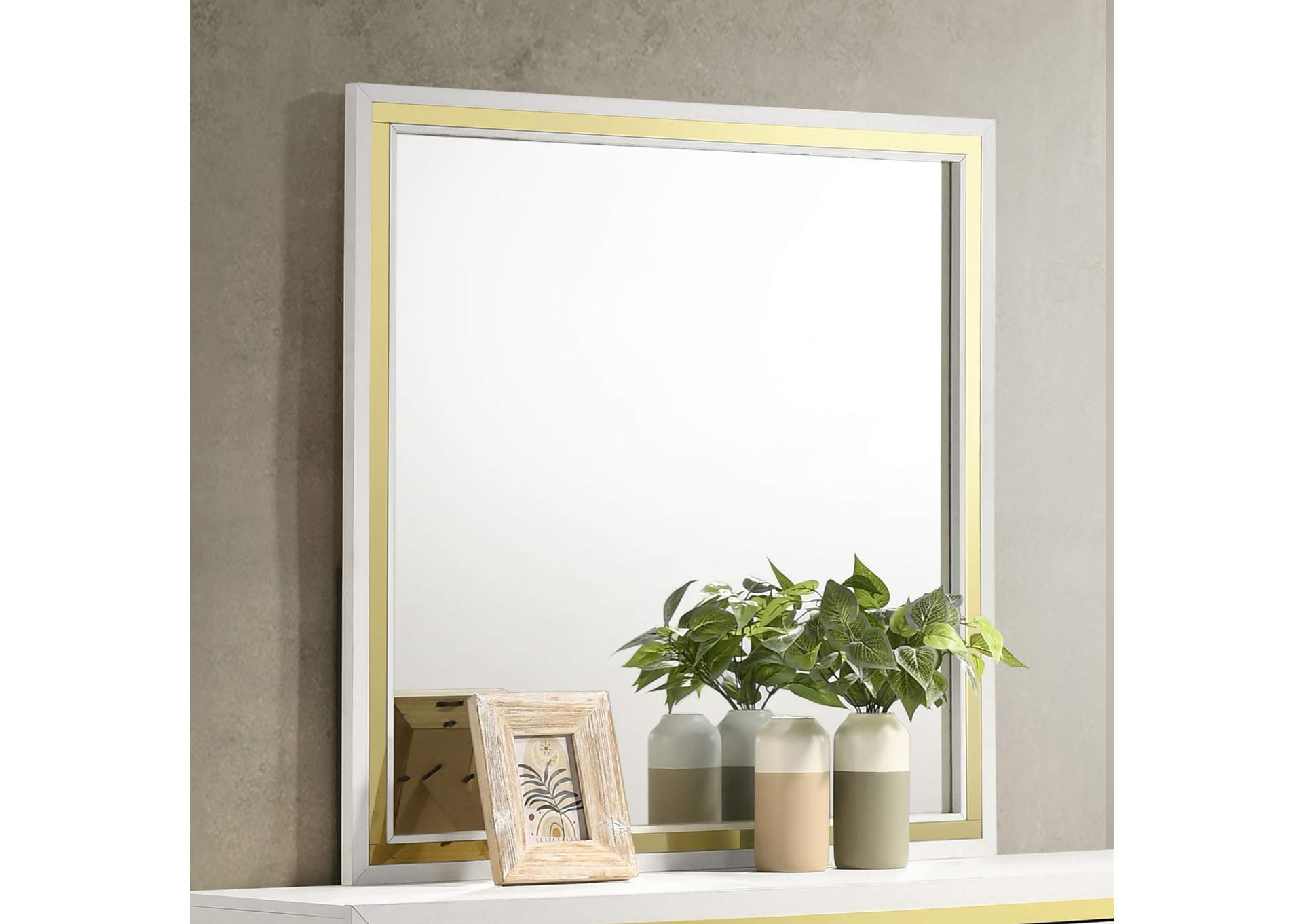 MIRROR,Coaster Furniture