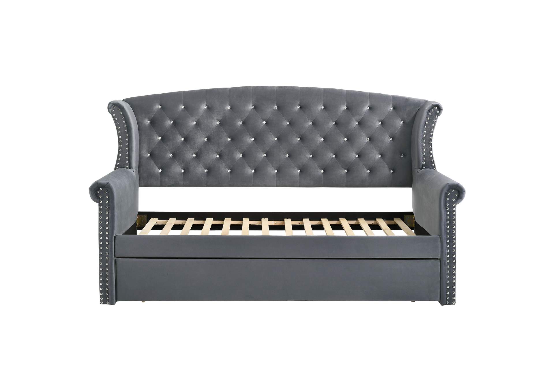 Scarlett Upholstered Tufted Twin Daybed with Trundle,Coaster Furniture