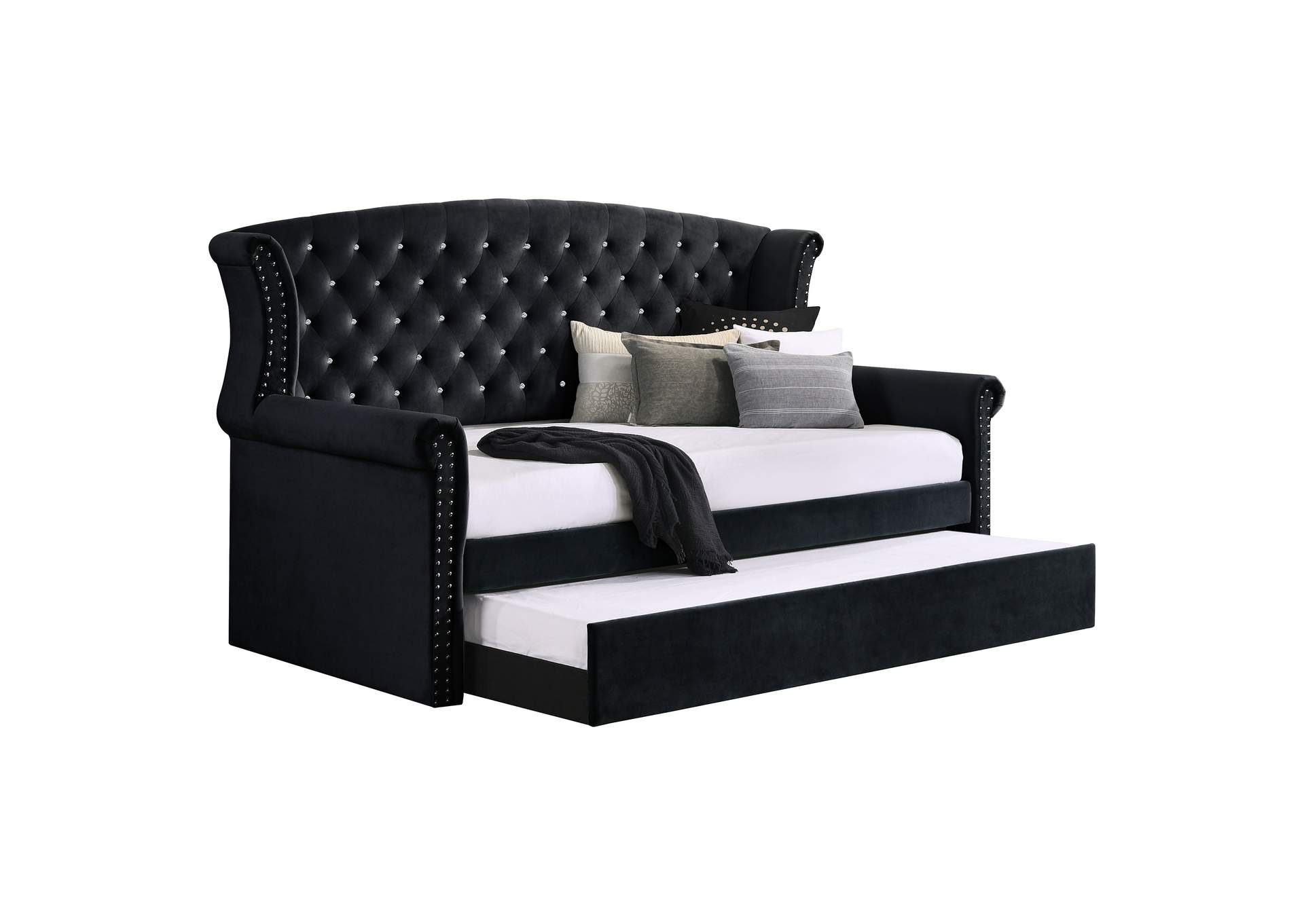 Scarlett Upholstered Tufted Twin Daybed with Trundle,Coaster Furniture