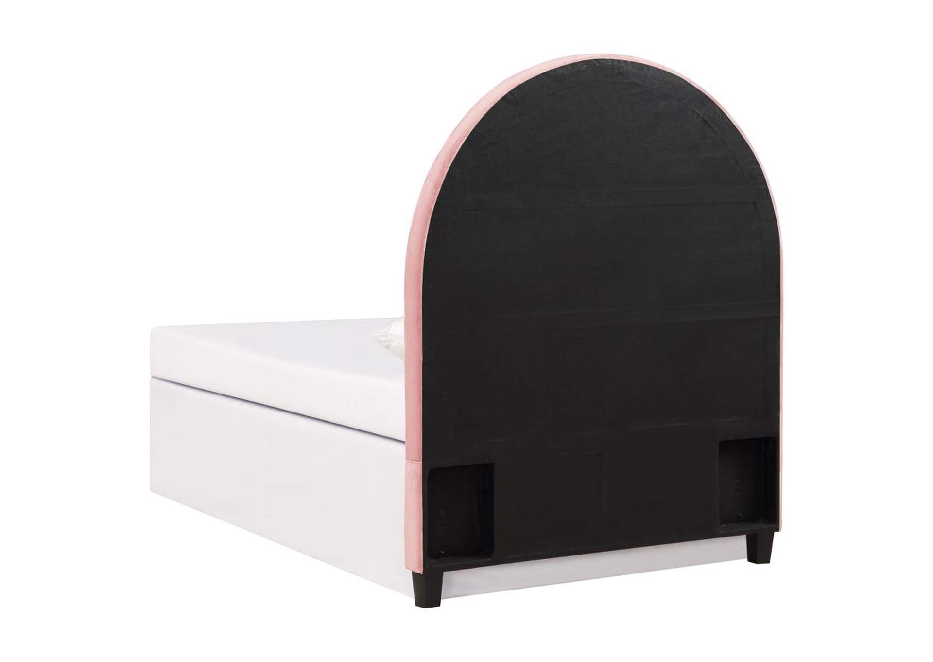 June Upholstered Arched Twin Headboard Blush,Coaster Furniture