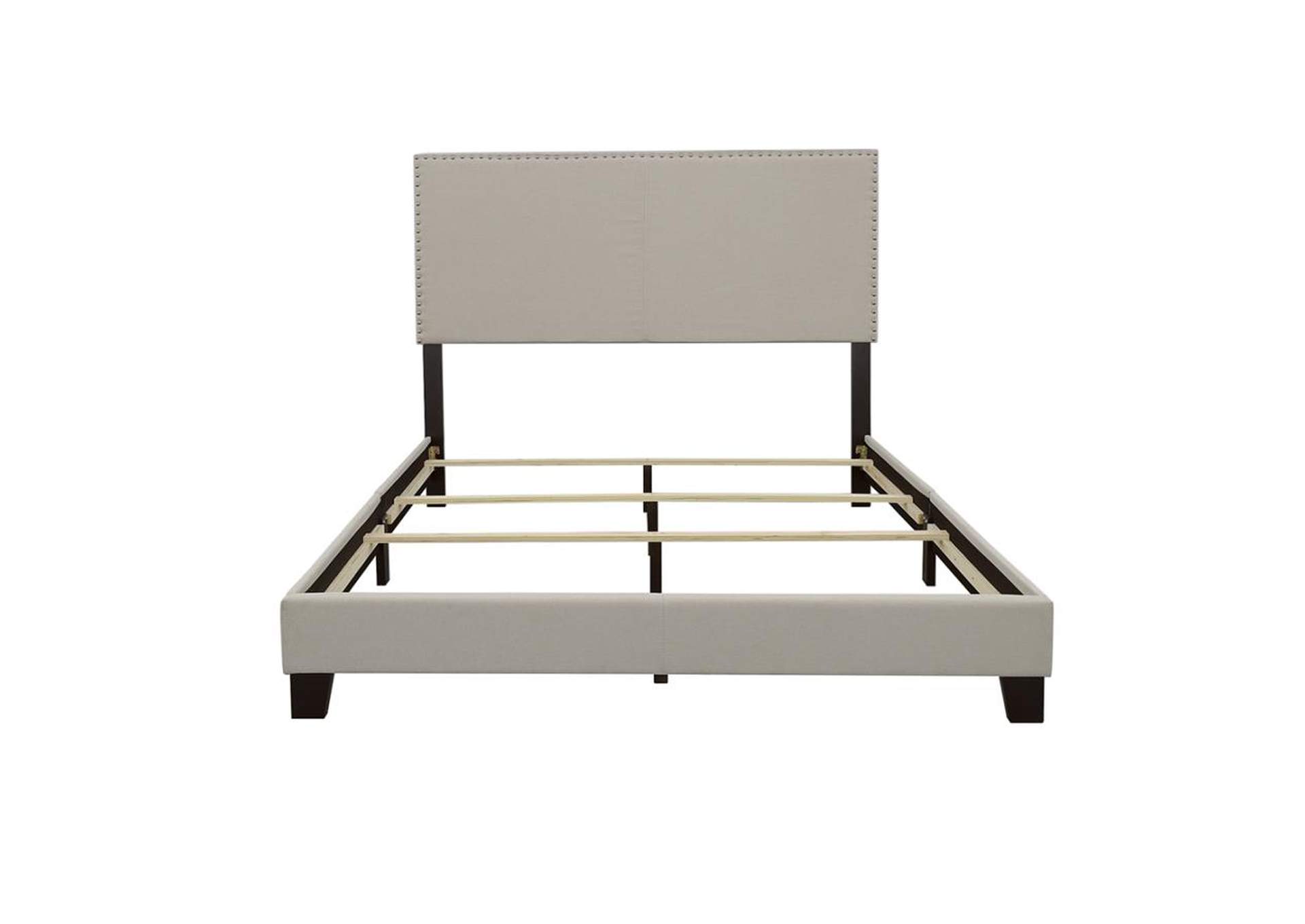 Boyd Queen Upholstered Bed with Nailhead Trim Ivory,Coaster Furniture