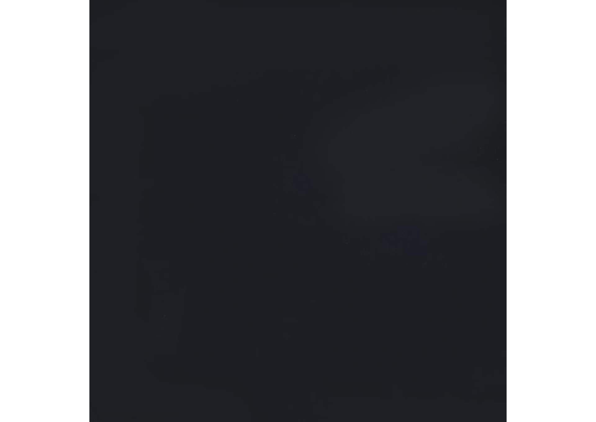 Haidera 4-panel Damask Pattern Folding Screen Black,Coaster Furniture