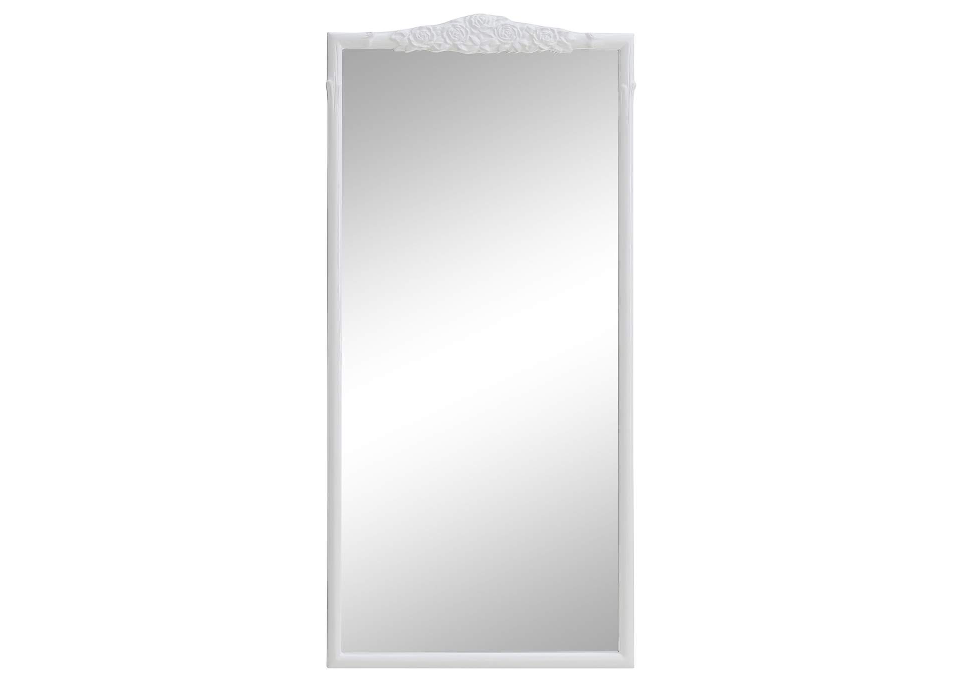 FULL LENGTH MIRROR,Coaster Furniture