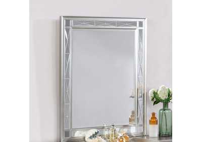 Leighton Vanity Mirror Metallic Mercury,Coaster Furniture