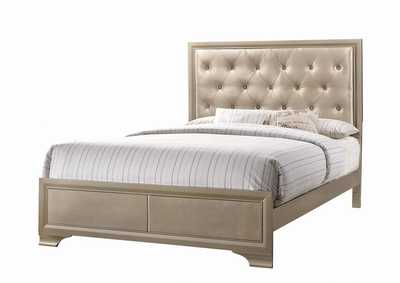 Beaumont Transitional Champagne Queen Bed,Coaster Furniture
