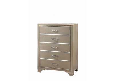 Arrowtown Beaumont Transitional Champagne Chest,Coaster Furniture