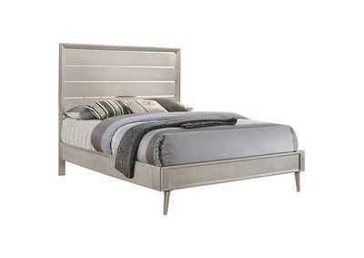 Ramon Queen Panel Bed Metallic Sterling,Coaster Furniture