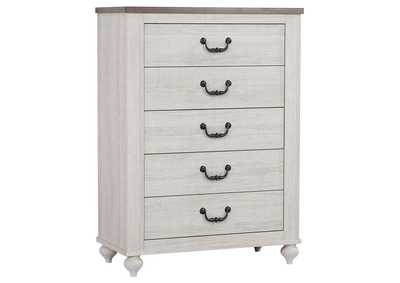 Thumb Image11