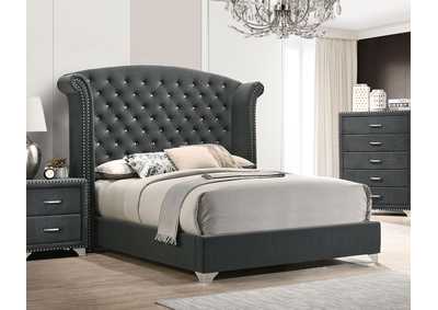 Image for Melody Eastern King Wingback Upholstered Bed Grey