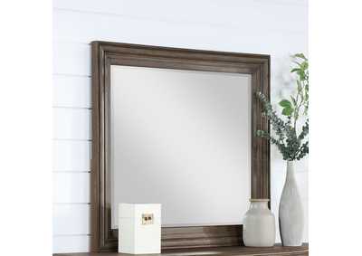 Image for MIRROR