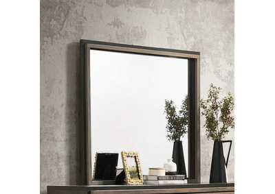 Image for Baker Rectangular Dresser Mirror Brown And Light Taupe