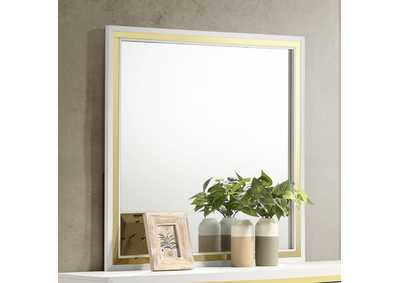 Image for MIRROR
