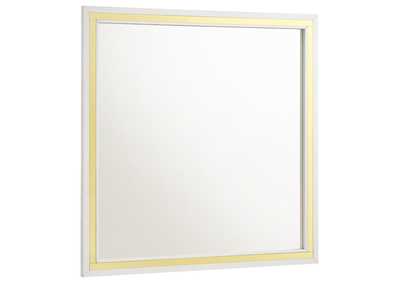 MIRROR,Coaster Furniture