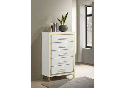Image for CHEST