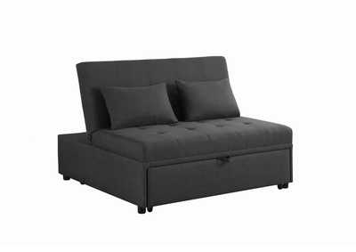 Image for Sleeper Sofa Bed
