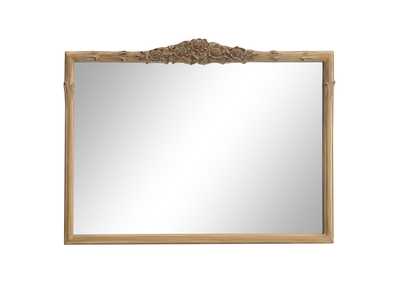 Thumb Image1