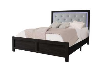 Image for Jaylen Bed In One Box Black