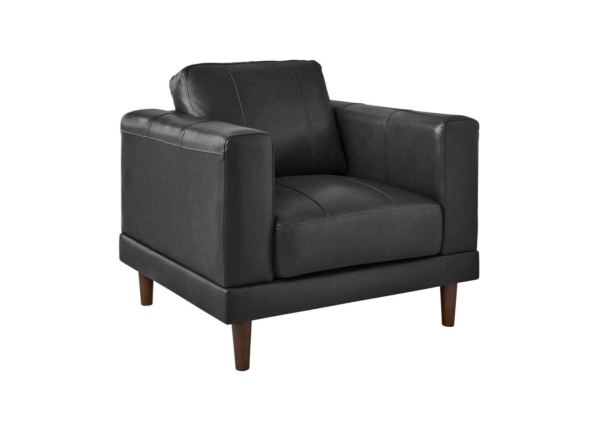 Hampton Chair In Fiero Charcoal Top Grain - Pvc,Elements