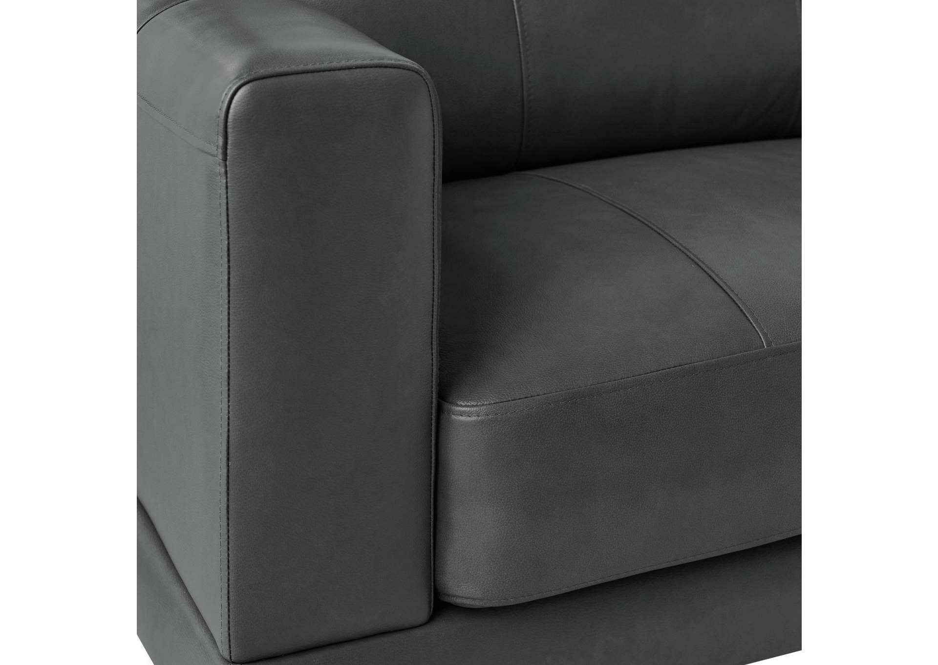 Hampton Chair In Fiero Charcoal Top Grain - Pvc,Elements