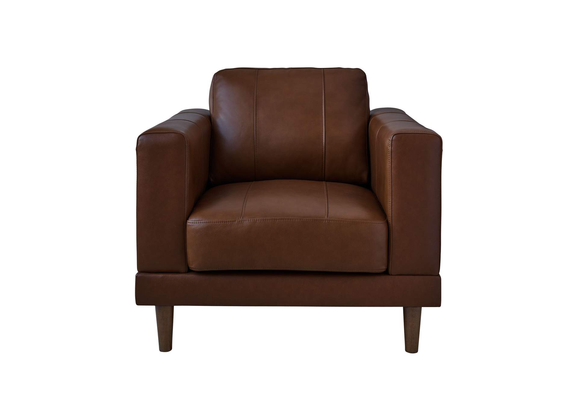 Hampton Chair In Fiero Chestnut Top Grain - Pvc,Elements