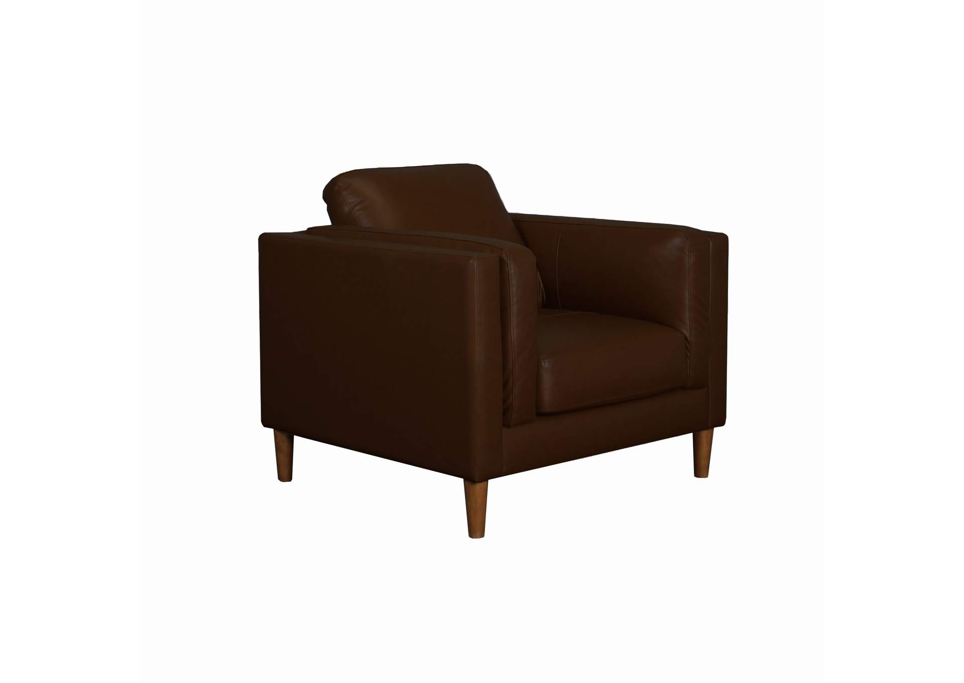 Pico Chair In Fiero Chocolate Top Grain - Pvc,Elements