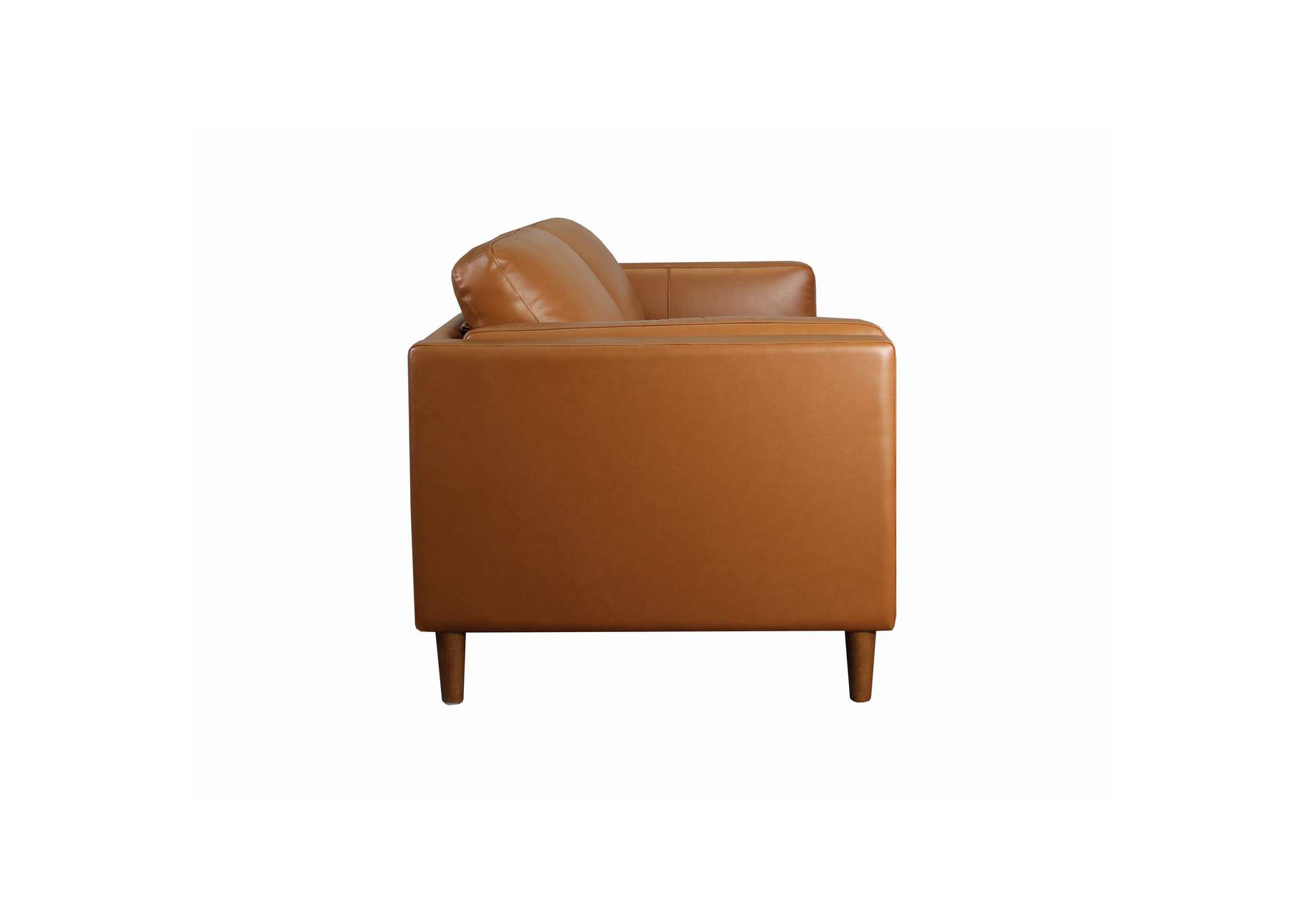 Pico Sofa In Fiero Tan Top Grain - Pvc,Elements