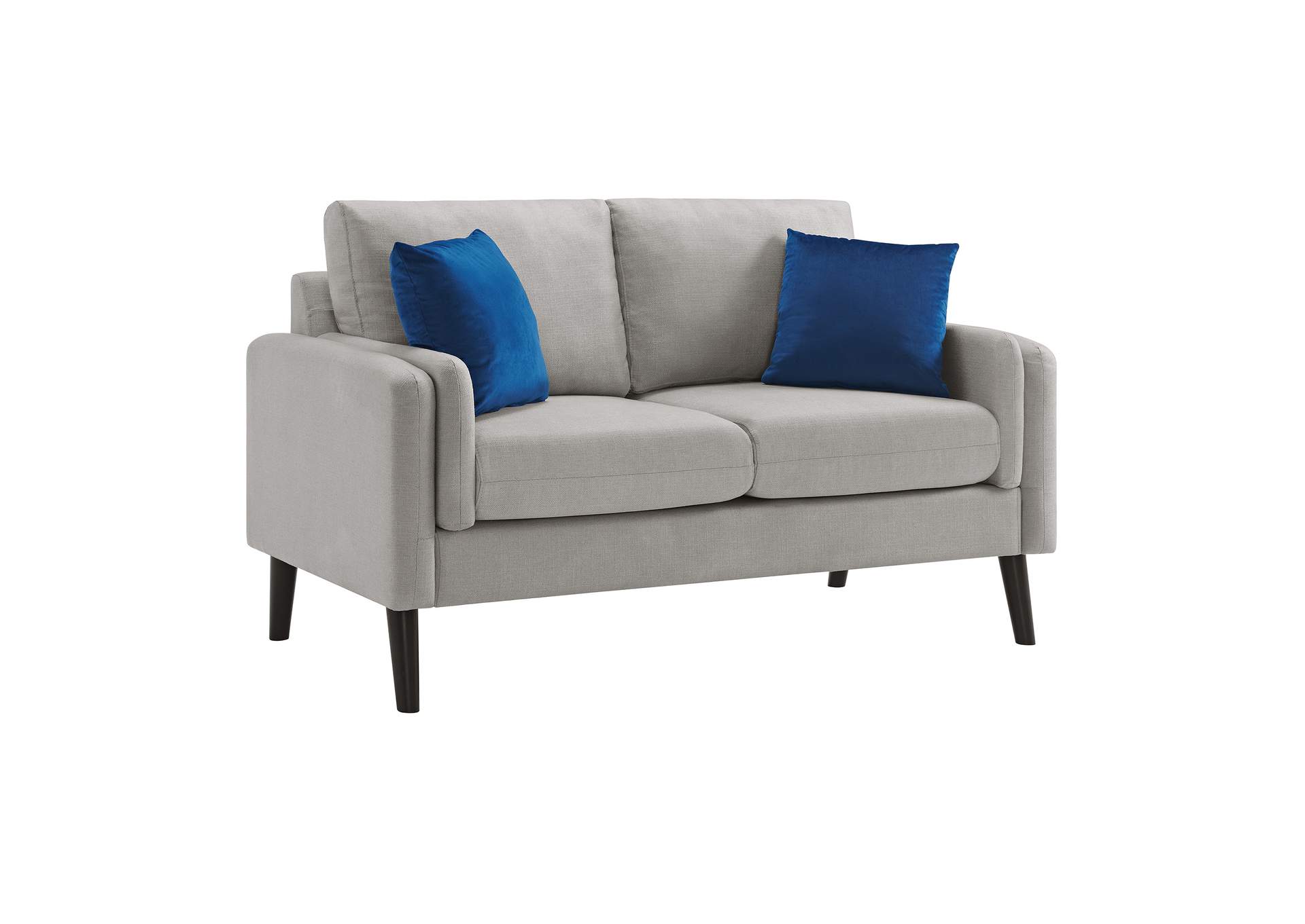 Skylark Loveseat In Valencia Platinum With 2 Pillows,Elements