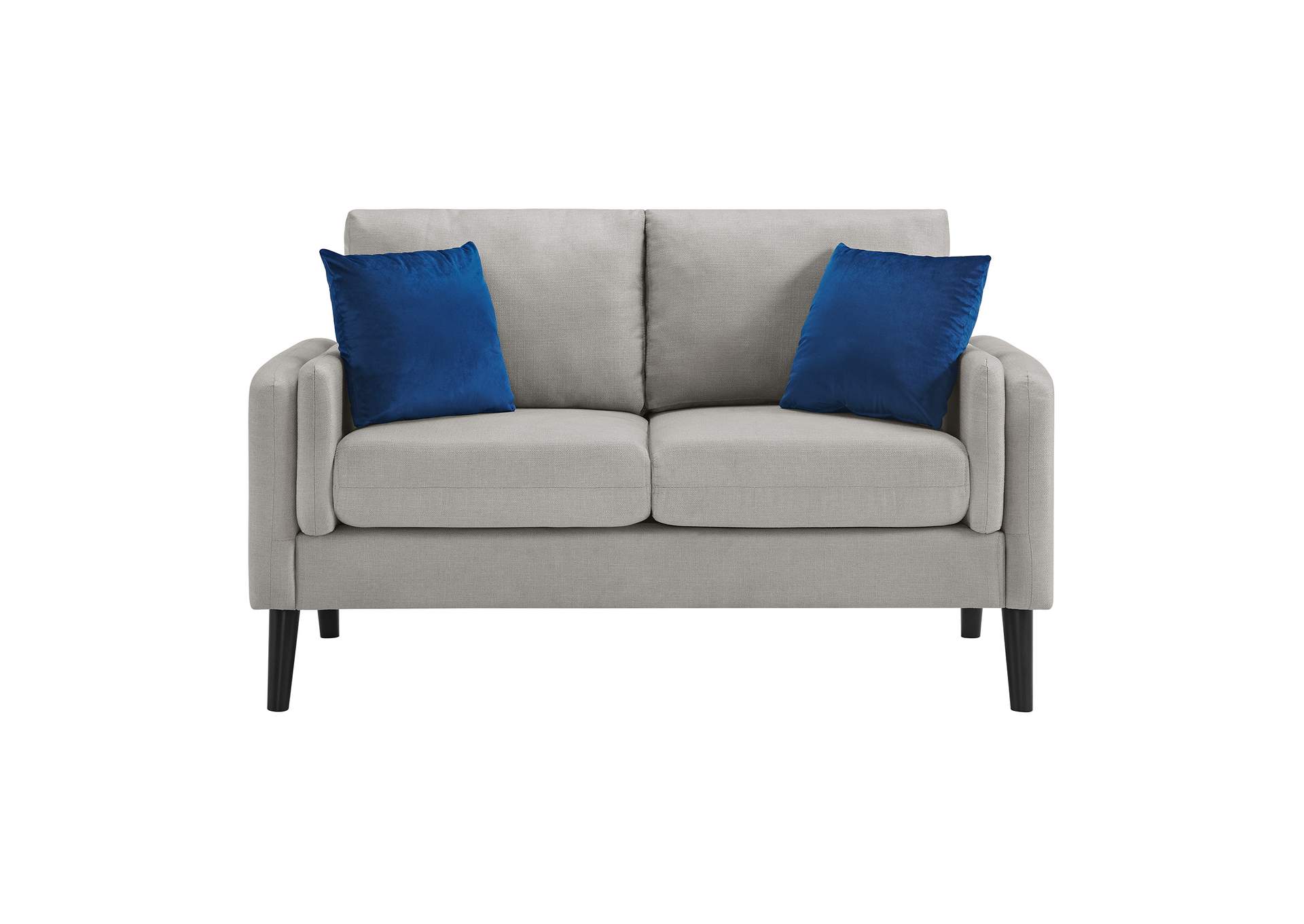 Skylark Loveseat In Valencia Platinum With 2 Pillows,Elements