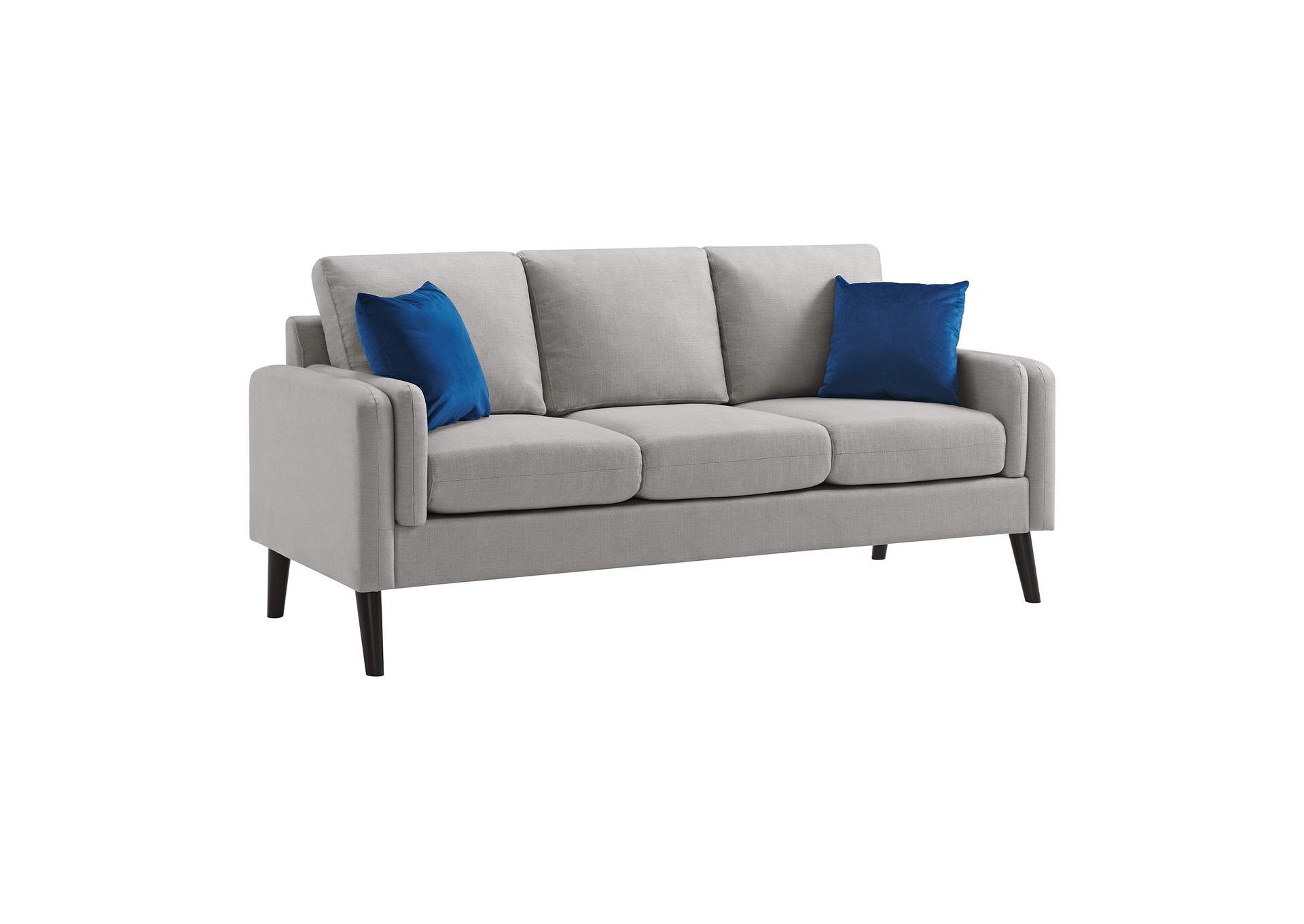 Skylark Sofa In Valencia Platinum With 2 Pillows,Elements