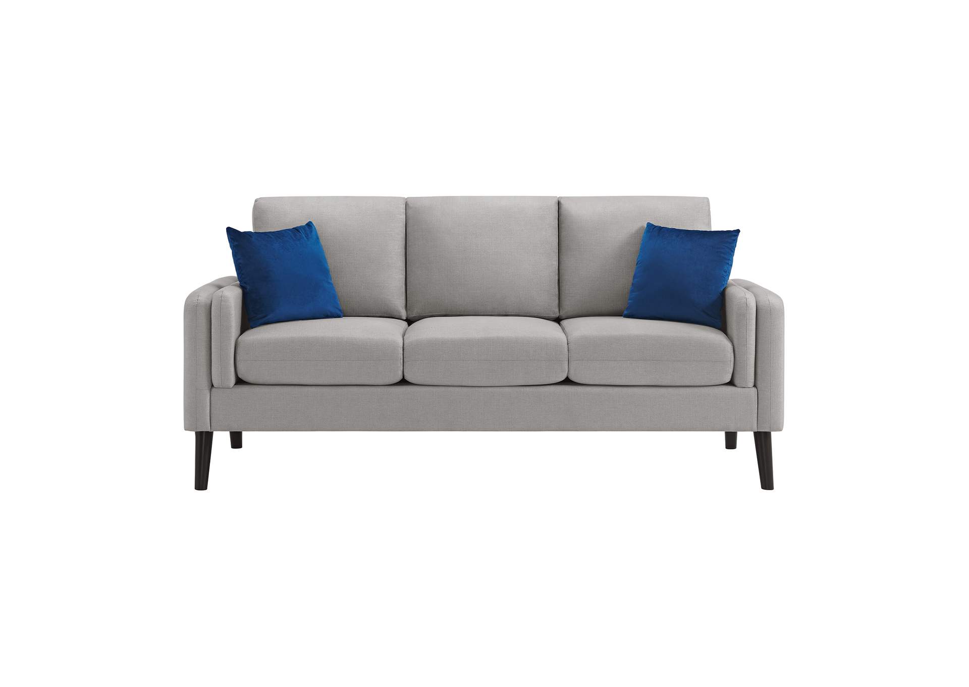 Skylark Sofa In Valencia Platinum With 2 Pillows,Elements