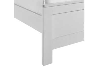 Thumb Image6