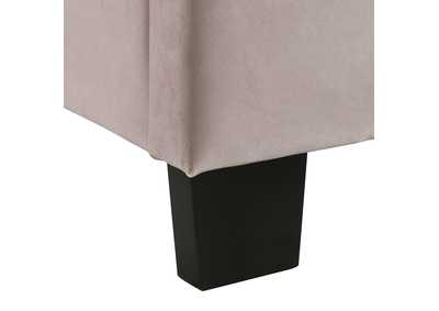Thumb Image6