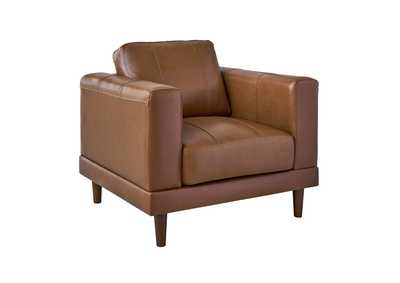 Thumb Image1