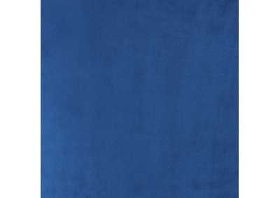 Thumb Image10