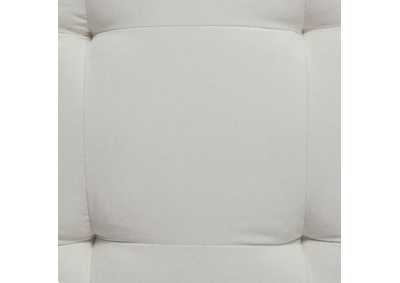 Thumb Image8