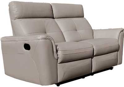 8501 Loveseat with 2 Recliners Color 2922