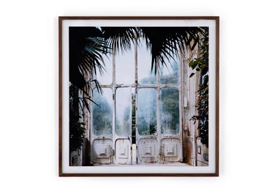 Image for Acrylic Shadow Box + Photo Paper + Walnut Art Studio Greenhouse Ii By Annie Spratt Framed Pap