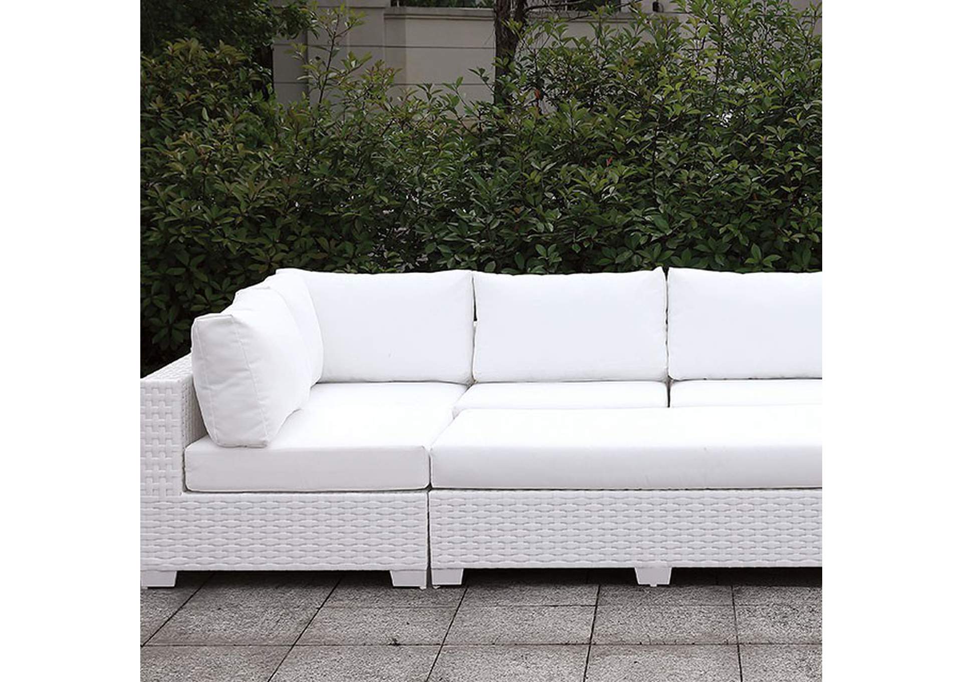 Somani Daybed,Furniture of America