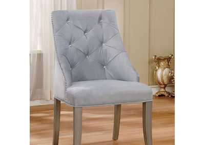 Diocles Silver Side Chair [Set of 2],Furniture of America