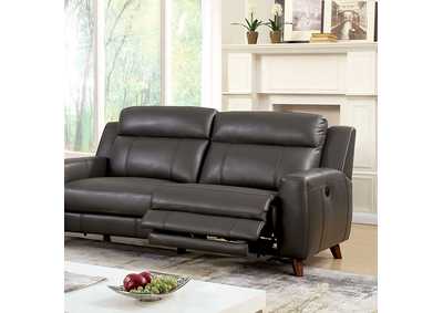Rosalynn Gray Sofa,Furniture of America
