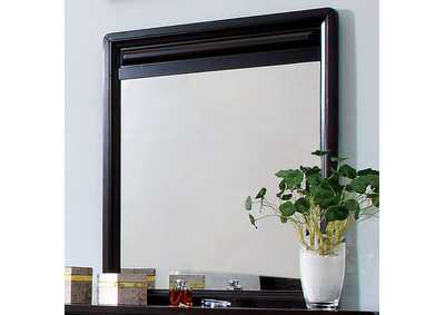 Winsor Mirror