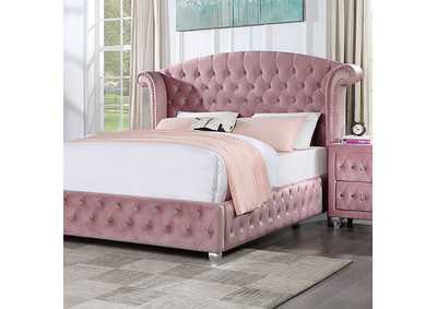 Image for Zohar Bed