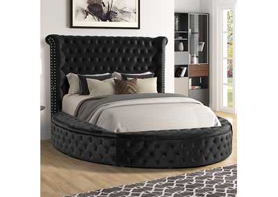 Sansom Queen Bed,Furniture of America