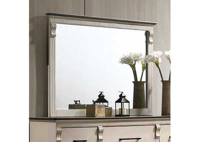 Agathon Mirror,Furniture of America